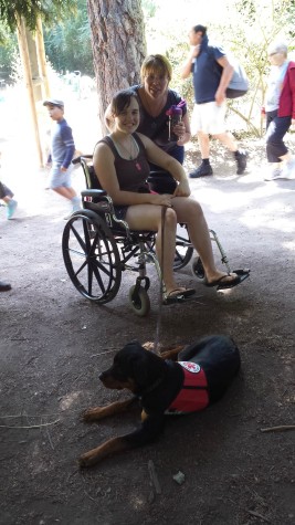 rev tasha wheelchair