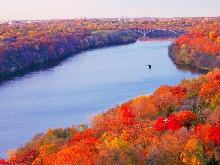 Winning Photo of Fall Colors