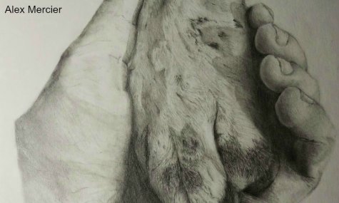 A Paw inthe Hand - Mercier, Alex - grade 8 - HM