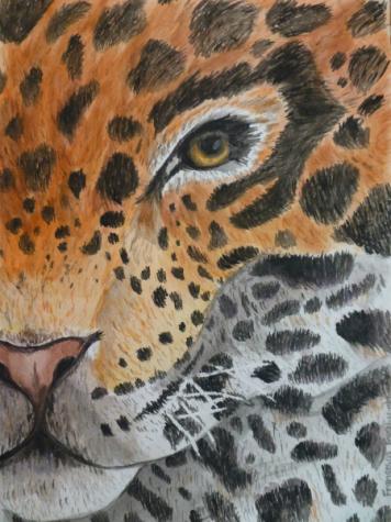 The Jaguar - Faraj, Francesca - grade 9 - HM