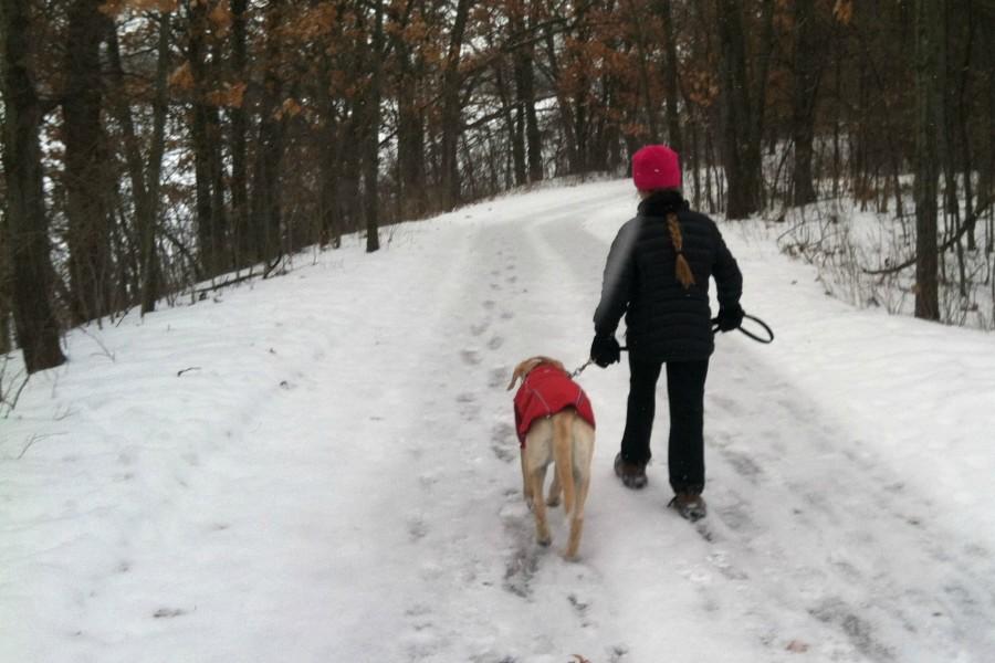 Hannah in Minnesota walks her dog in single digit temperatures