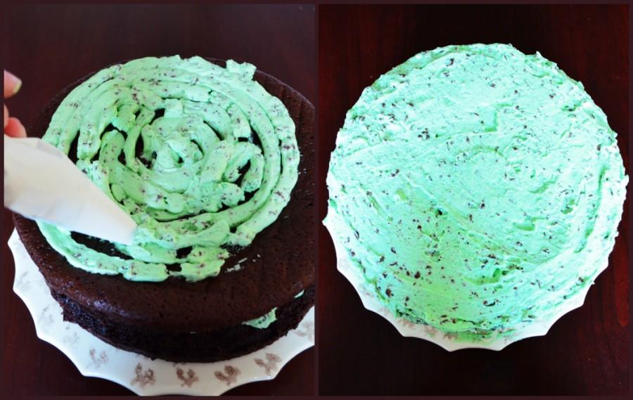 Mint Chocolate Chip Cake