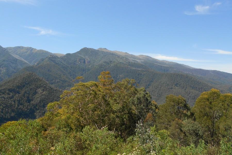 Snowy River Mountains, Australia
Callan used his Nikon Coolpix for this shot.