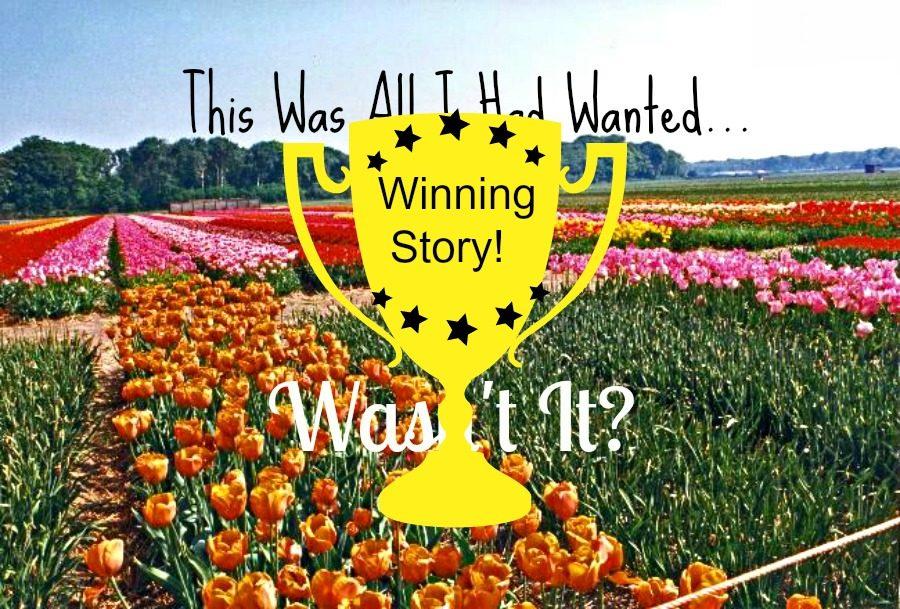Winning+Story+For+All+I+Had+Wanted%21