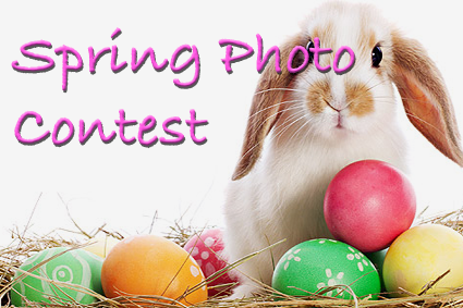 Spring Photo Contest