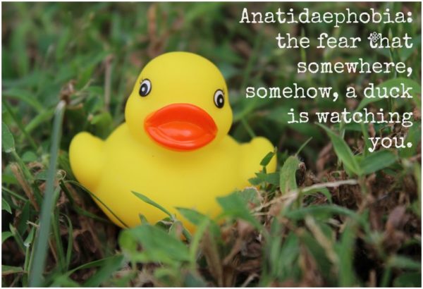 New Writers Quill Prompt: Anatidaephobia