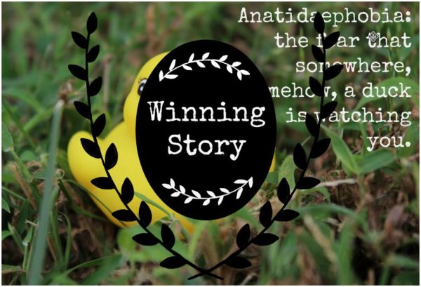 Writer’s Quill Winning Stories for Anatidaephobia