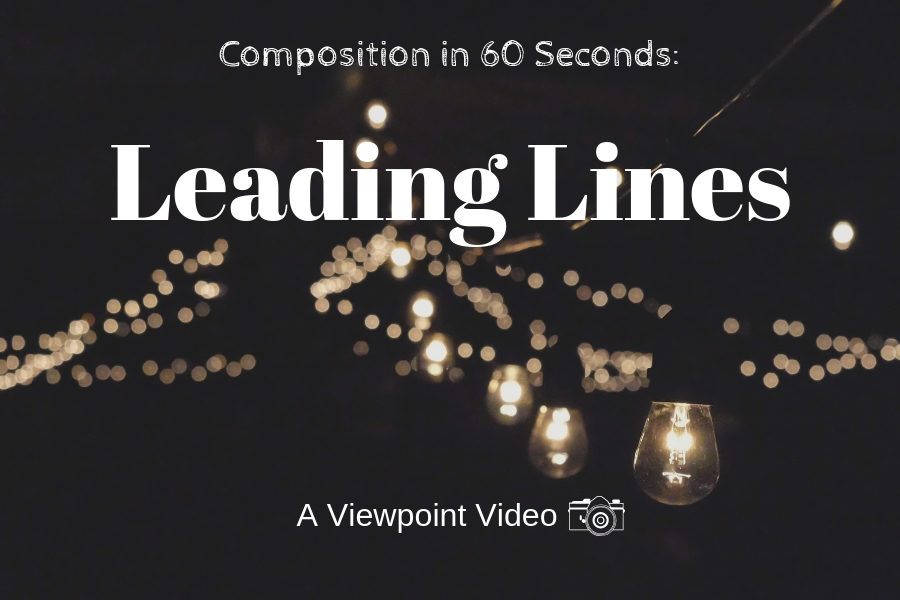 Composition in 60 Seconds: Leading Lines