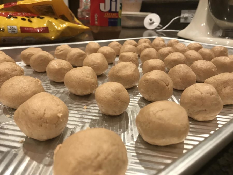 Roll dough into 1-inch balls and place in freezer for 1 hour. 