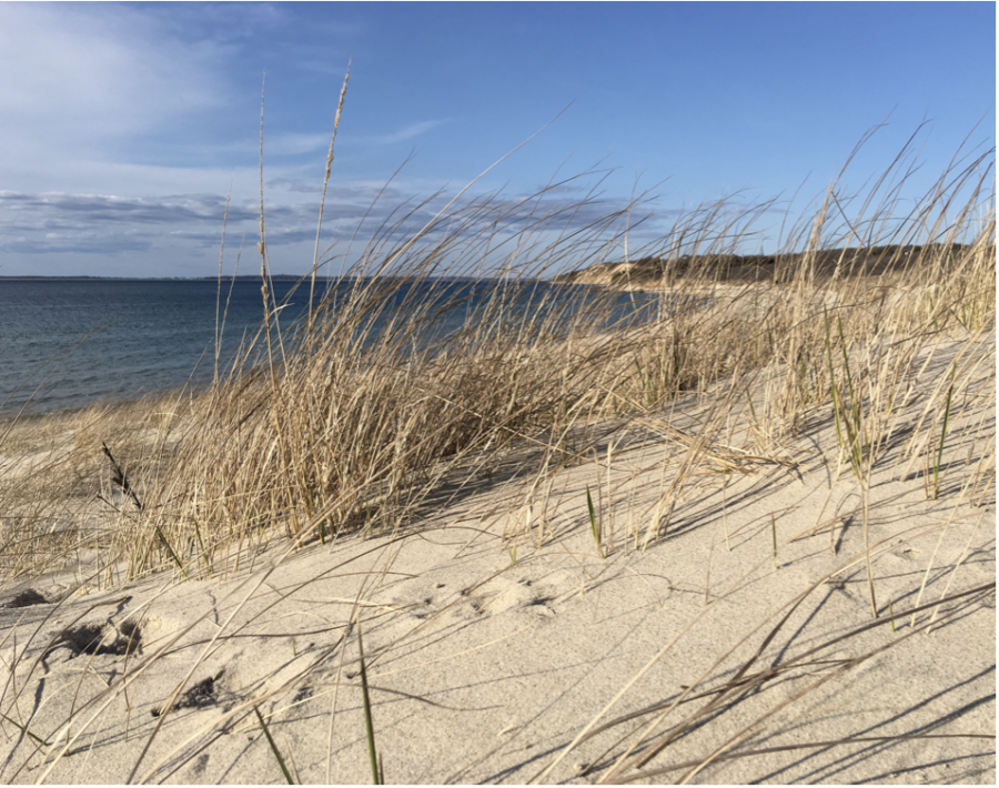 Lamberts Cove, Marthas Vineyard, MA