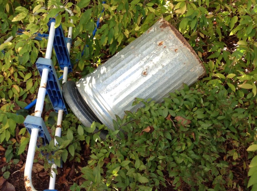 Trash can and step stool left to rust.