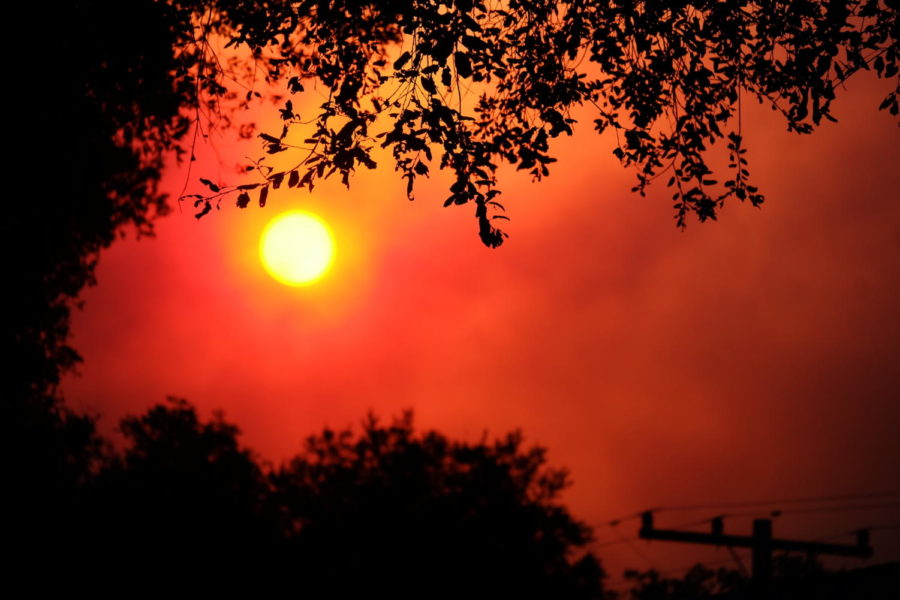 Wildfires in California are far more destructive than they were in past years, some statistics listing that the fires now burn twice as much area per year as they did in 1980. 