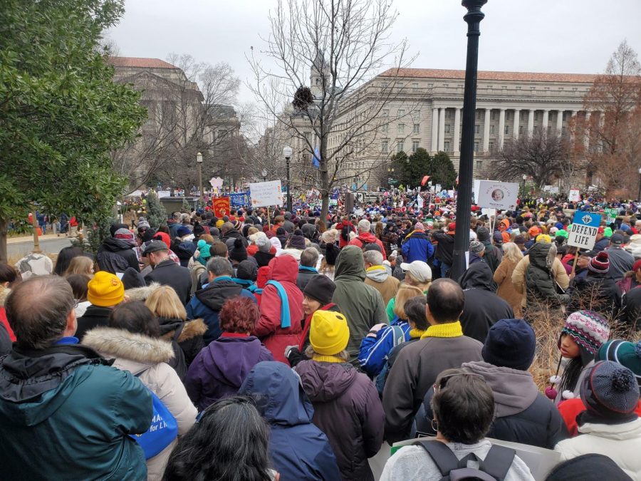 Marchers in the March for Life 2020 in Washington, D.C.