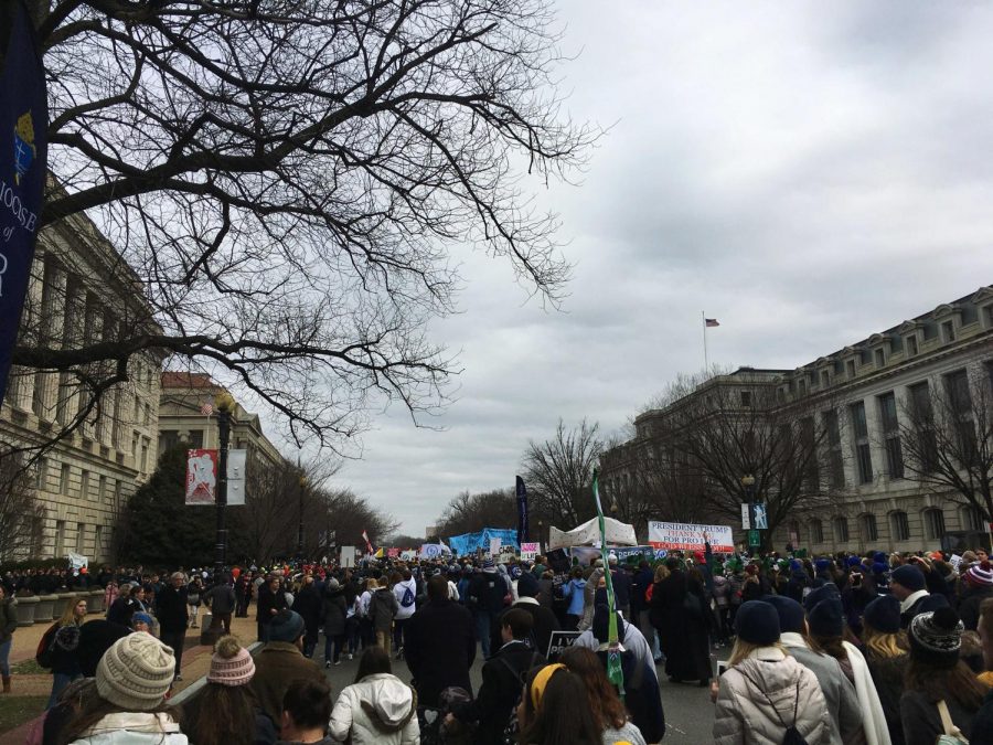 The March for Life in D.C. 2020