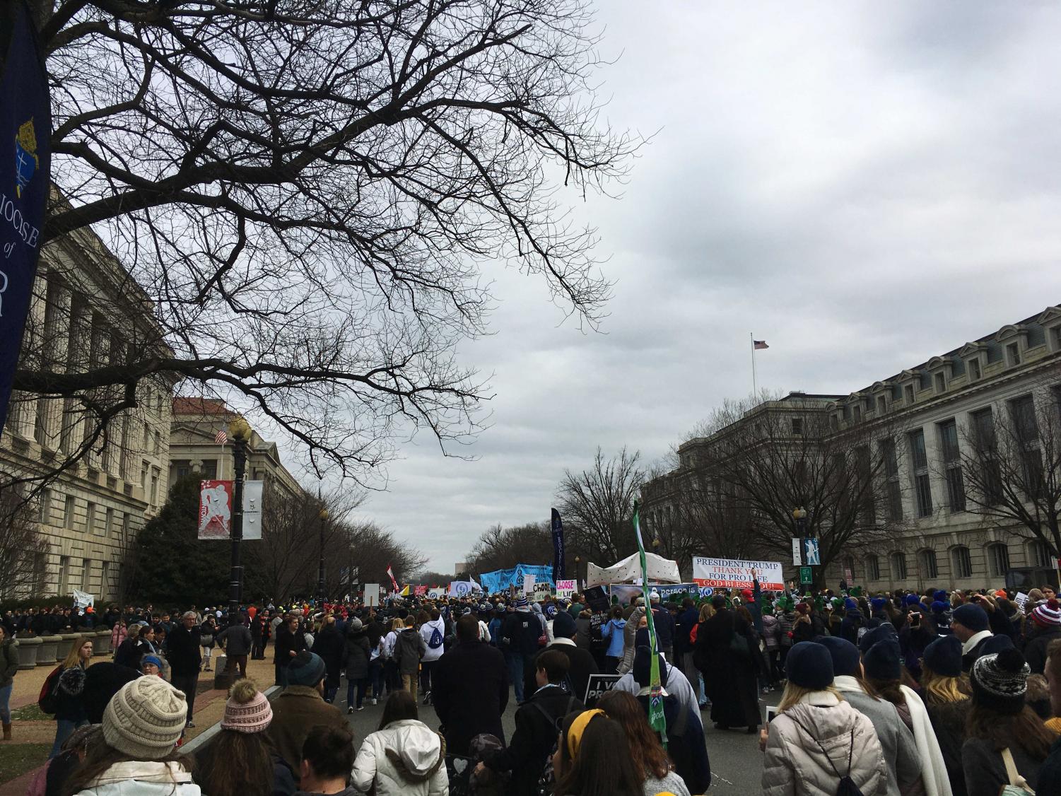 ShaLynne Marched for Life