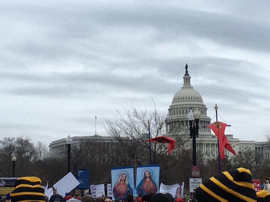 March for Life in D.C. 2020