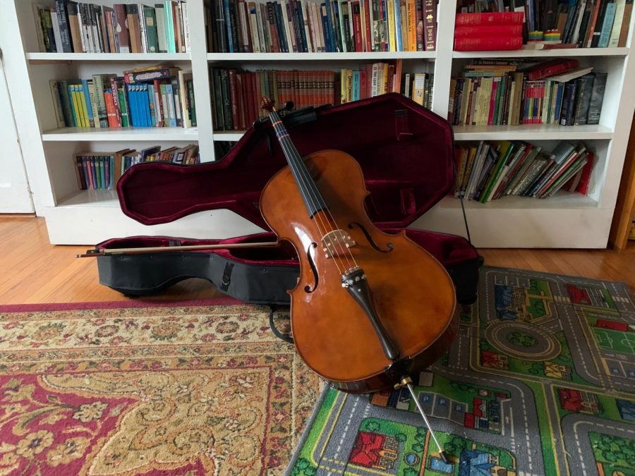 Thanks to the recent stay-at-home order, my cello has lived a much happier life. Instead of gathering dust in its case, it has spent many otherwise empty moments squeaking joyously in my hands. 