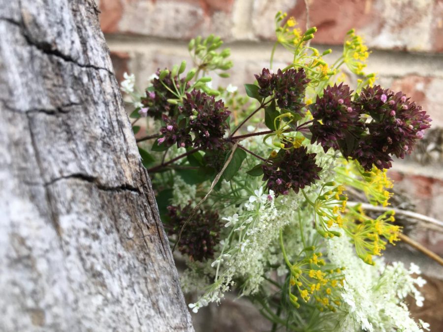 Wild flowers against a rustic brick wall in the late afternoon. 