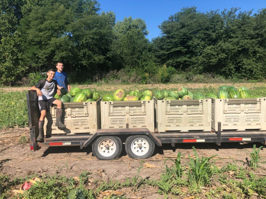 Jirak brothers working on the family farm. 