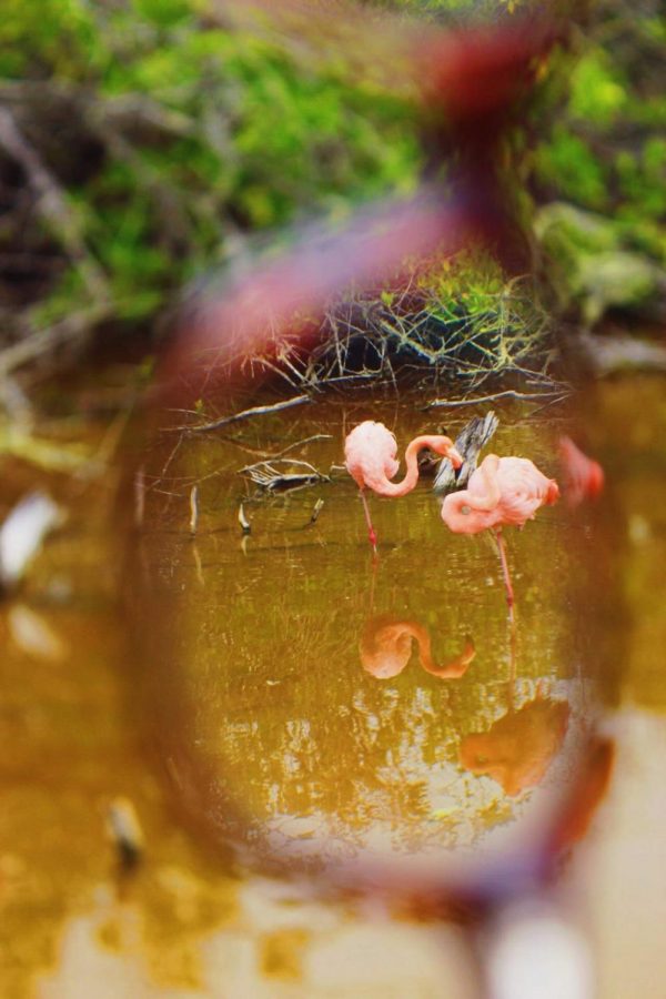 MODG Student Eva Heroux's National Geographic Trip