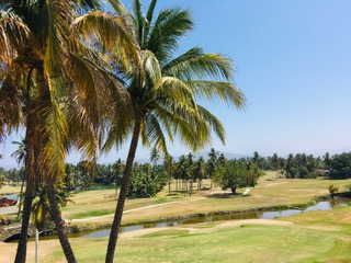 The view of a golf course from the house I stayed in during my vacation in Manzanillo.