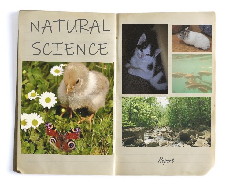 An Inside Look Into Some Natural Science Projects!