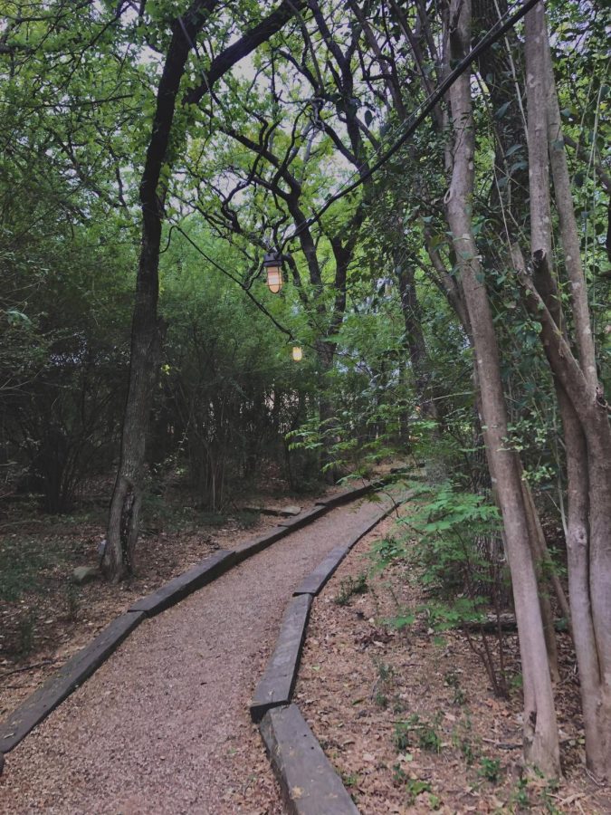 Pathway at the University of Dallas.