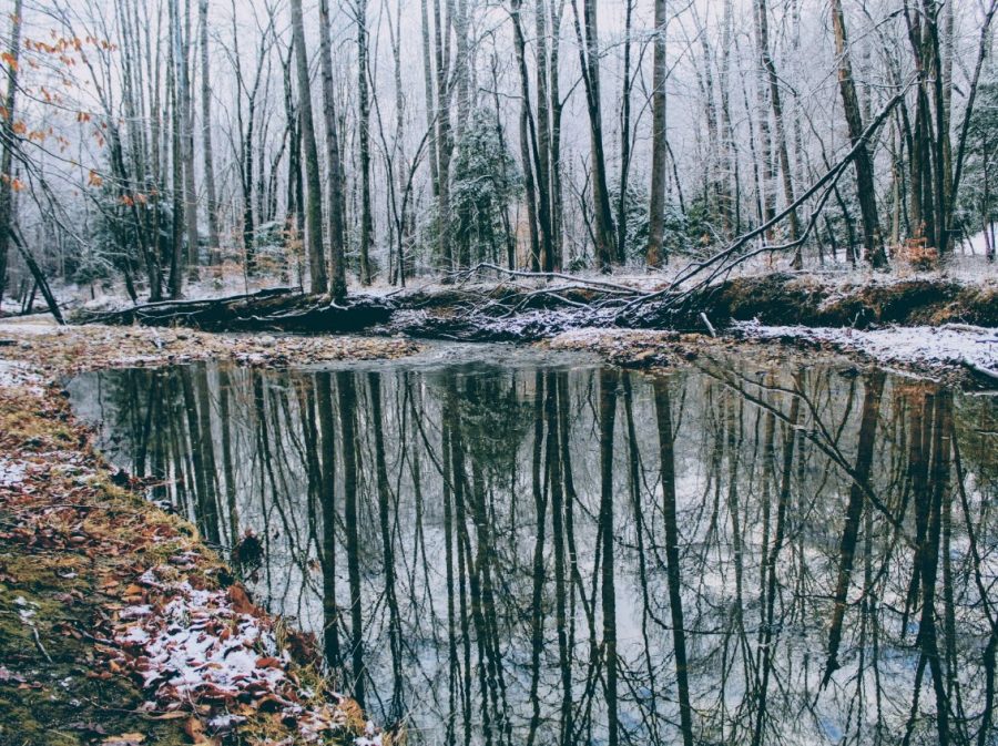 A creek with a light dusting of snow.