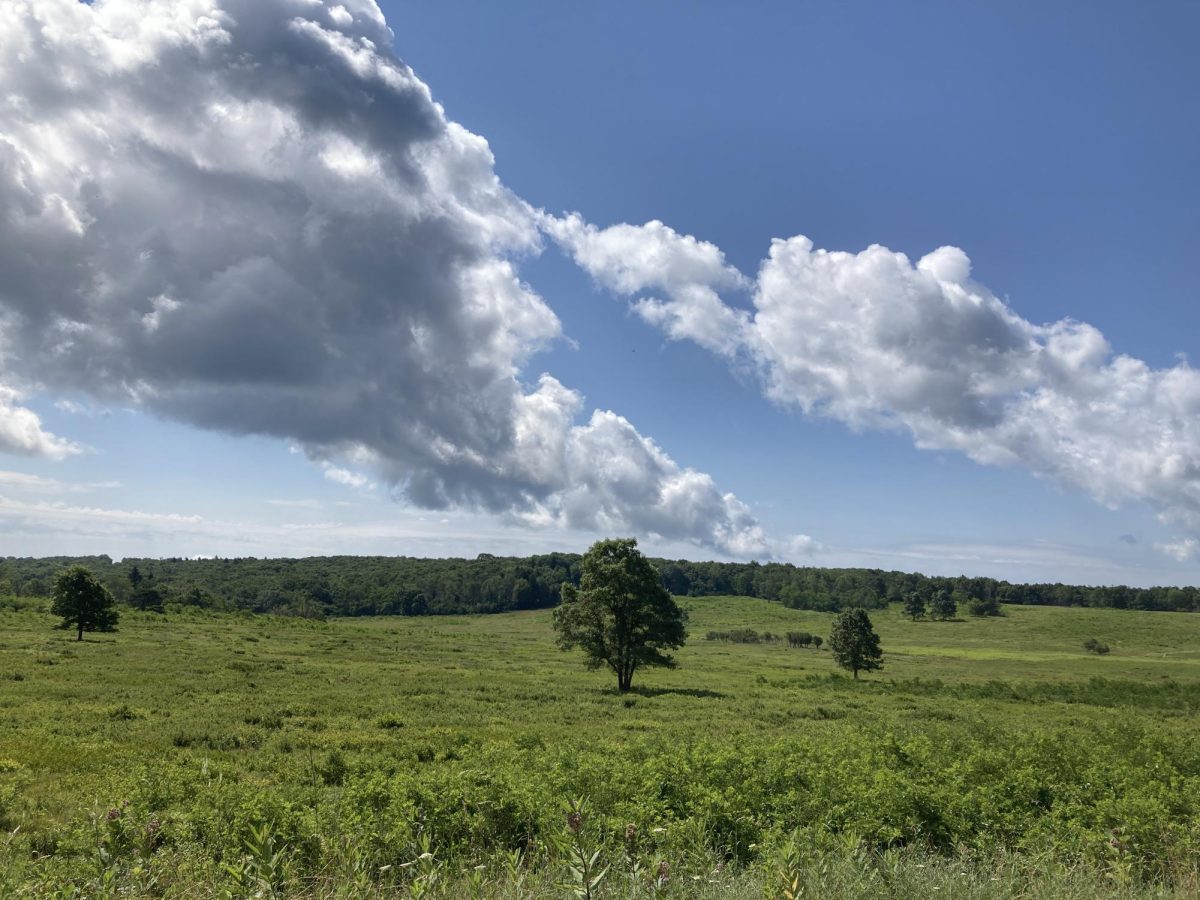 Big Meadows in Shenandoah National Park