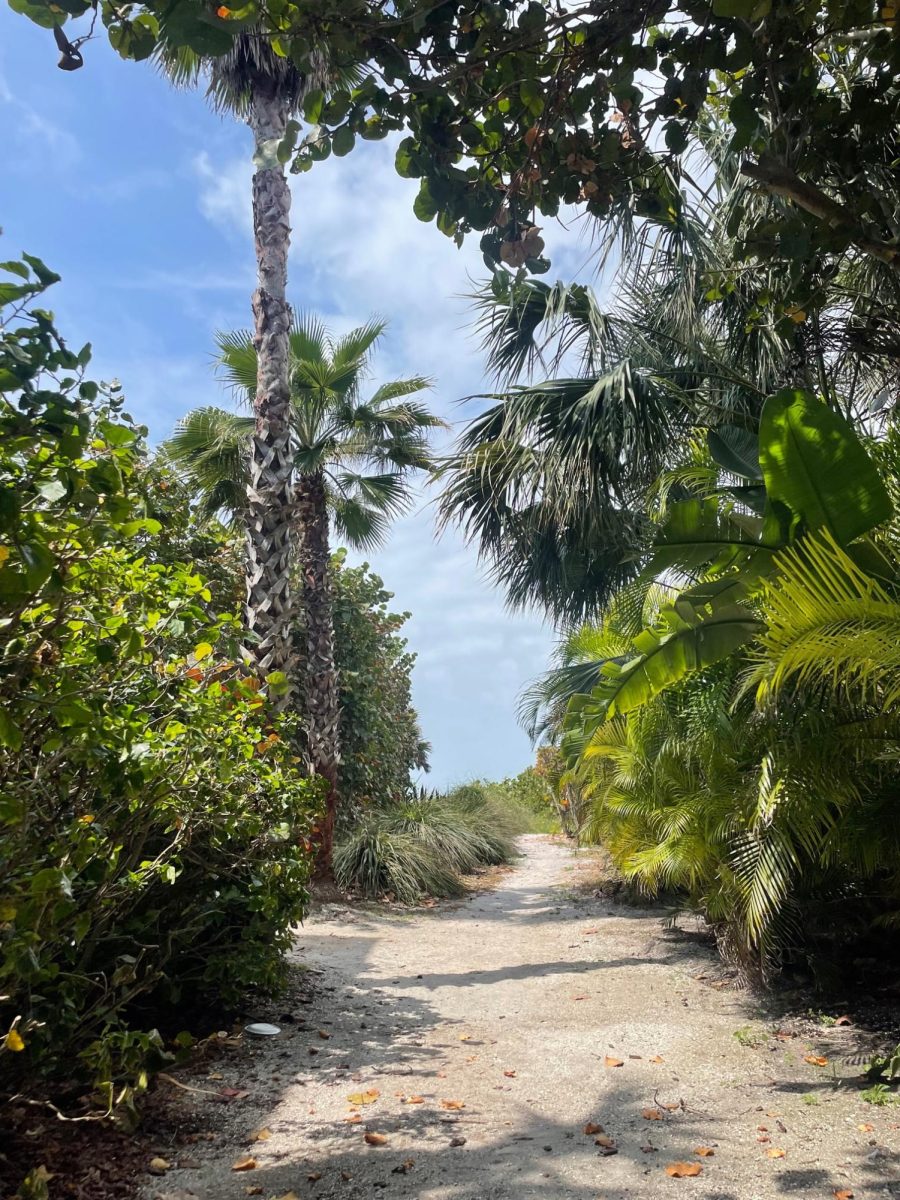 Pass-a-Grille Beach in Florida