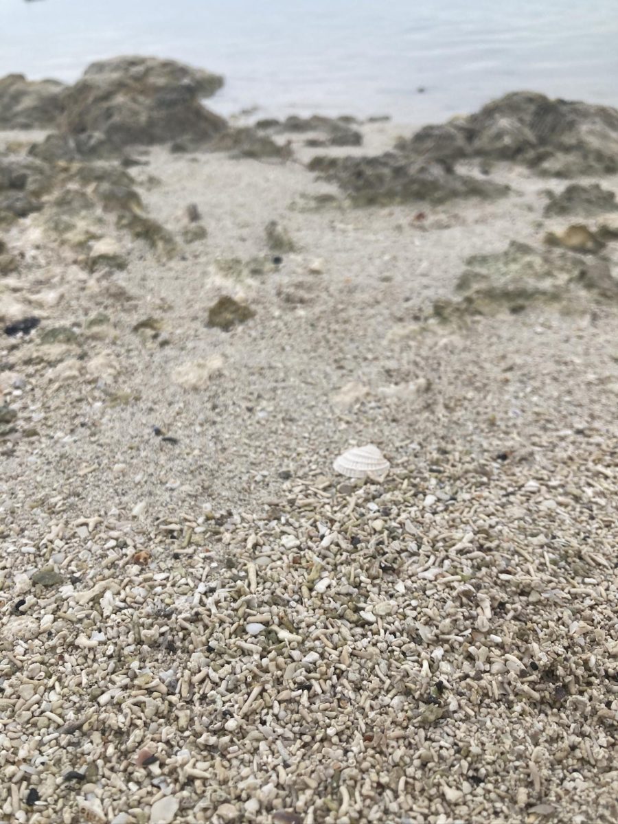 Veterans Memorial Beach
Little Duck Key, Florida