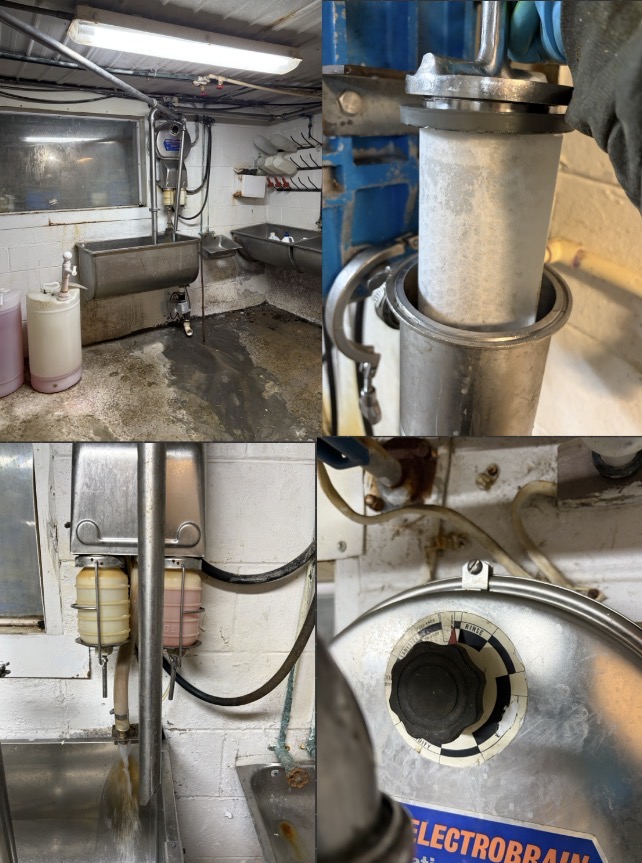Then, the milk house is all set up for the wash cycle. This involves moving the pipe from the milk tank, changing a filter, filling the two cleaning solutions, and finally turning the wash cycle on.
 
