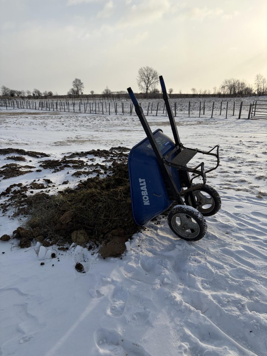 The wheelbarrow is then taken, and dumped into a pile outside. 