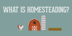 Homesteading: What Does it all Consist of?