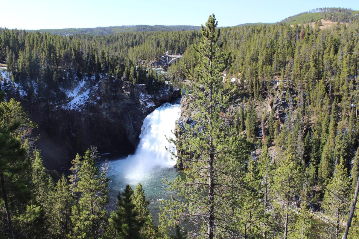 Family-Friendly Camping Destinations