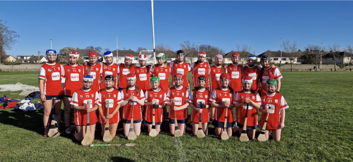 Sixteen Questions with MODG Camogie Player