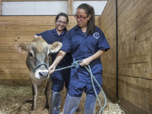vet.purdue.edu