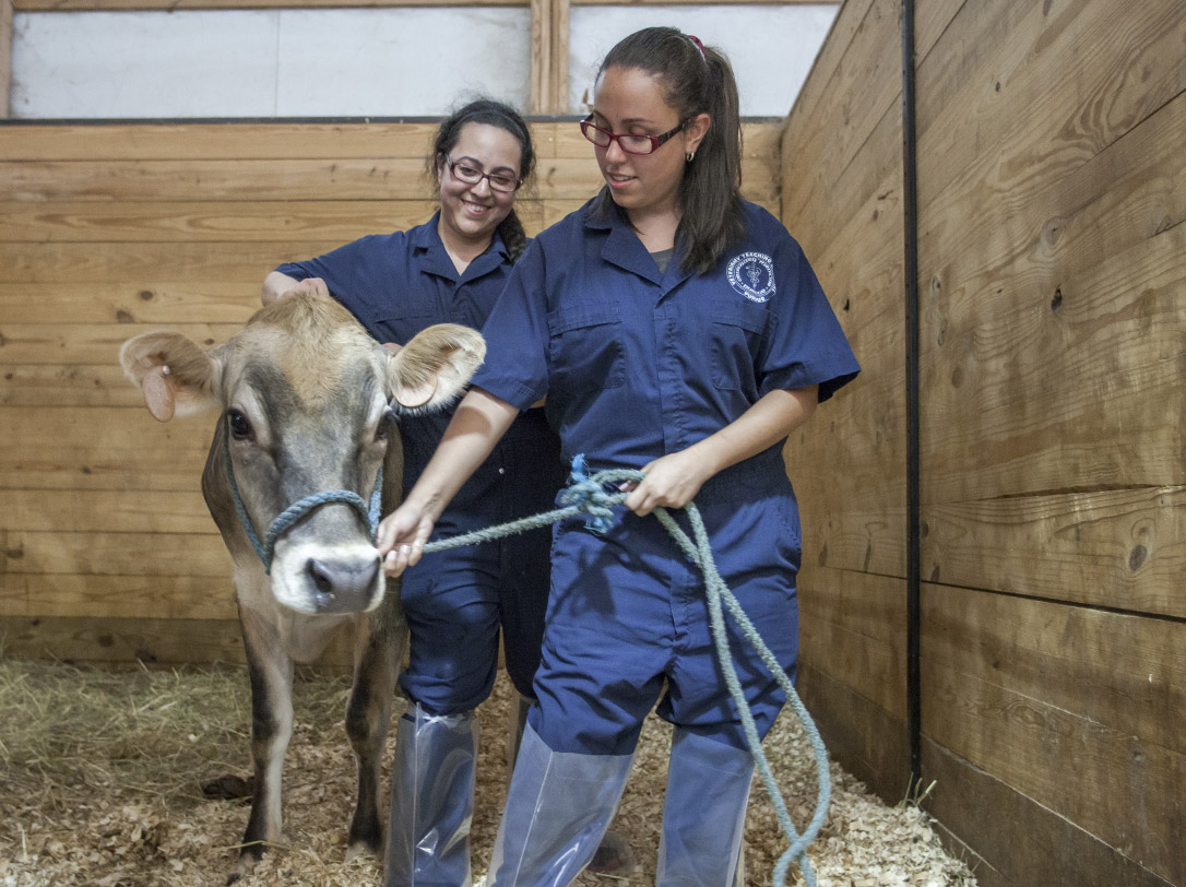 vet.purdue.edu